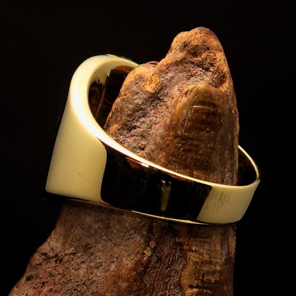 Perfectly crafted Men's National Flag Ring Sierra Leone - solid Brass