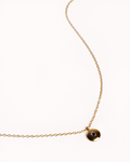 Collar Septiembre-0